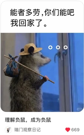 理解负鼠成为负鼠笔记